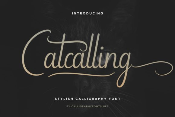 Catcalling Font for Elegant Handmade Designs