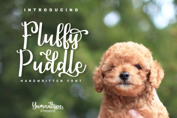 Fluffy Puddle: A Balanced Script Font for Editorial Design
