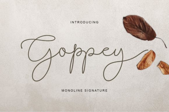 Goppey: A Delicate Script Font for Editorial Design