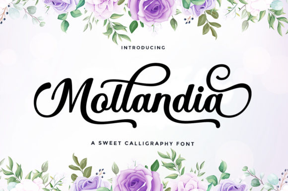 Mollandia: A Romantic Script Font for Web Design