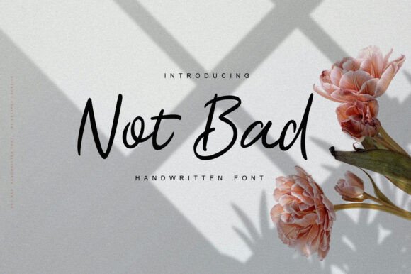 Not Bad Font Review: A Relaxed Script Typeface
