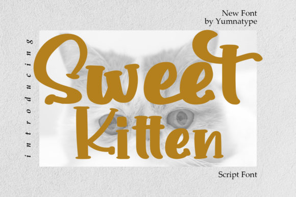 Sweet Kitten Font for Bold Business Branding